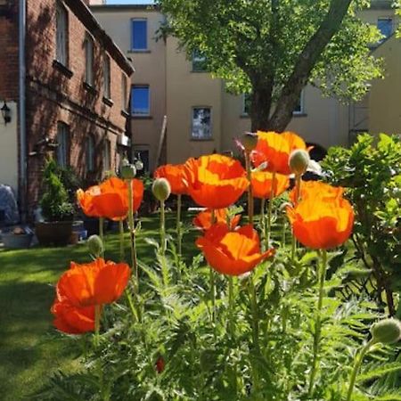 City Appartement Mit Garten, Zentral Und Trotzdem Ruhig كوتبوس المظهر الخارجي الصورة