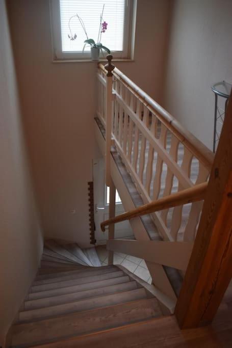 City Appartement Mit Garten, Zentral Und Trotzdem Ruhig كوتبوس المظهر الخارجي الصورة